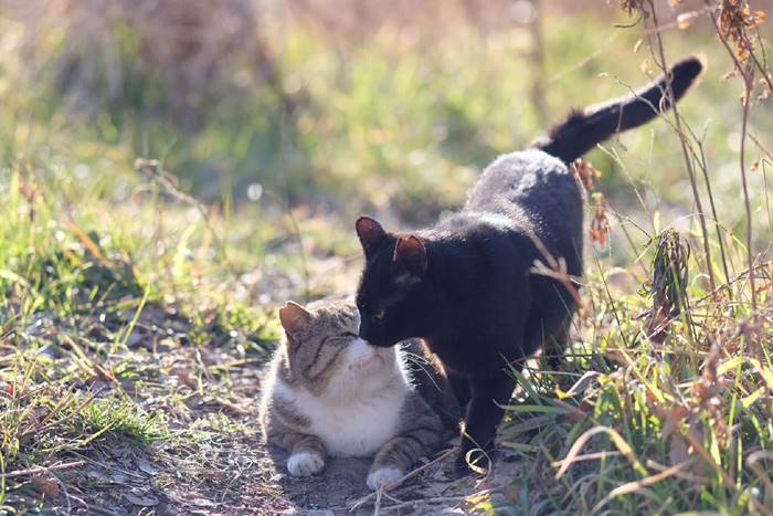 お互い実家住みの時は？カップルがいちゃつけるオススメの場所とは