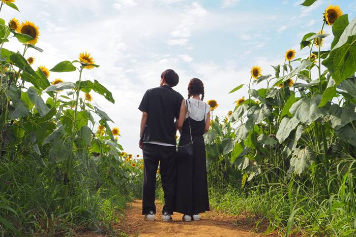 結婚相手ってどんな人がいいの？男女別・結婚相手を選んだ決め手とは