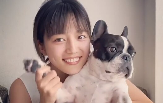 川口春奈・愛犬アム・うちで踊ろう・星野源・ダンス・Instagram