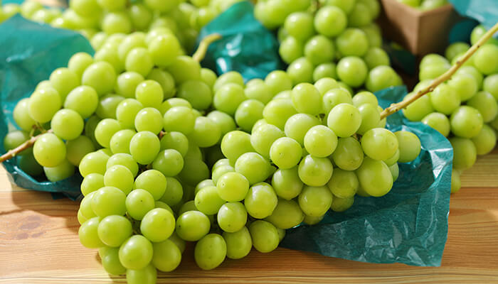 スイパラ シャインマスカット食べ放題 を開催 高級フルーツを贅沢に好きなだけ Girlswalker ガールズウォーカー